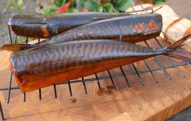 Скумбрия холодного копчения в коптильне: рецепты приготовления в домашних условиях