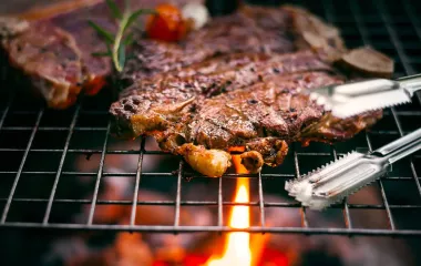 Преимущества газовых грилей